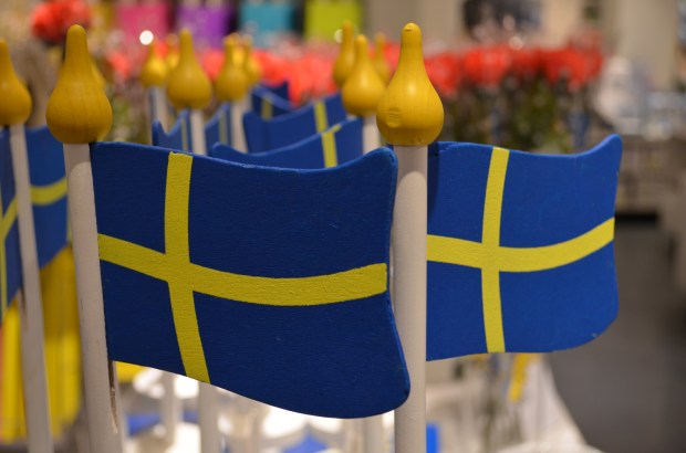 zviedru karogi koka.jpg