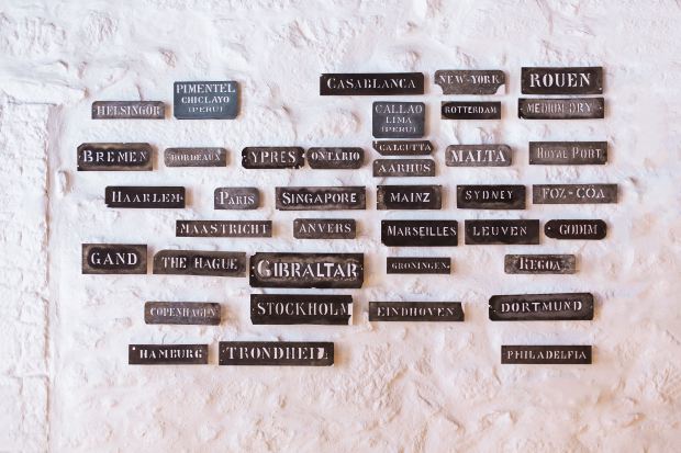 bruno-martins-8fbqPK_MUtk-unsplash