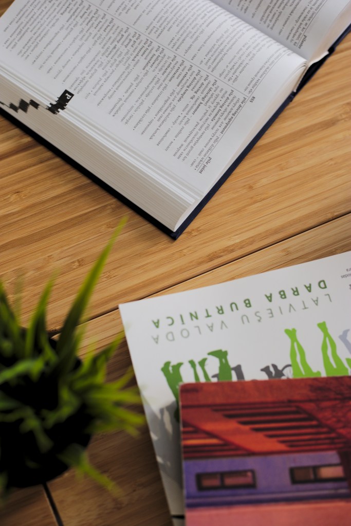 IZM sola rūpēties par latviešu valodas ilgtspējību
