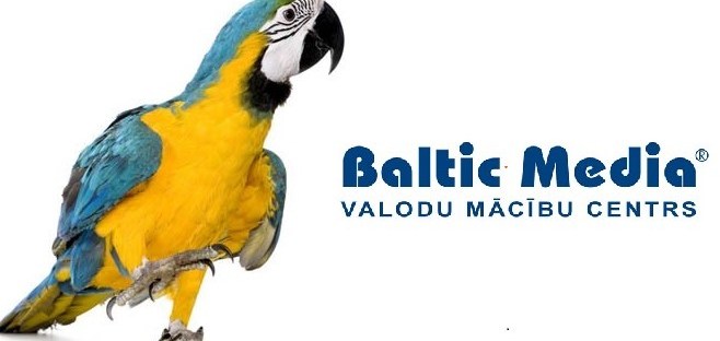At our language center, we offer flexible options to learn Latvian, whether you prefer individual lessons or enjoy the dynamic environment of group classes.