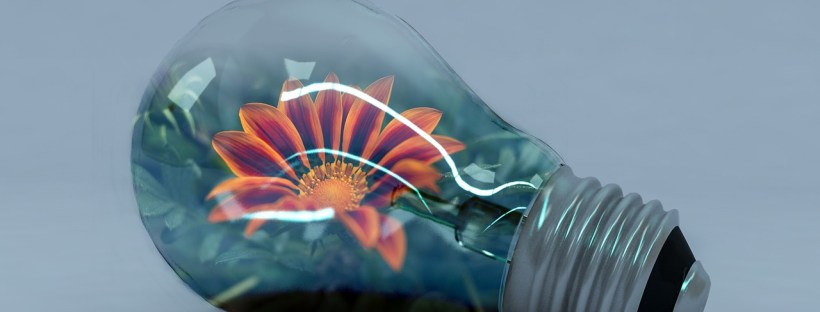 Baltic Media, linguistics, languages