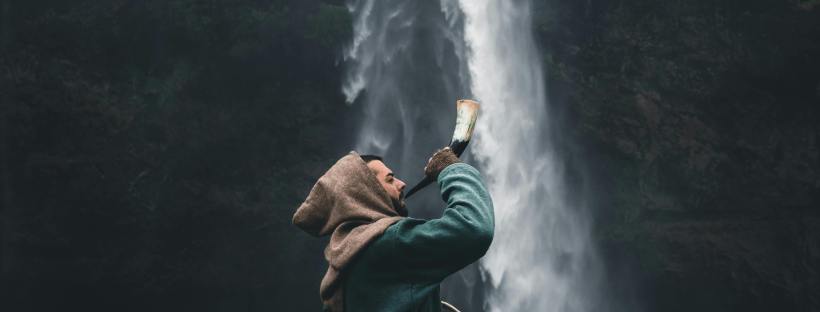Baltic Media, valodu kursi, valodu apguve