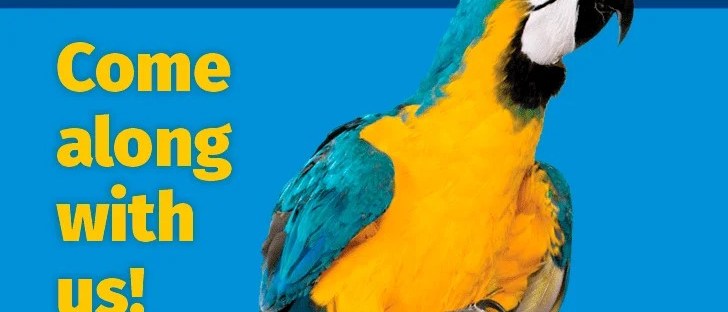 latviešu valodas pasniedzējs vakances pasniedzējiem valodu pasniedzēji