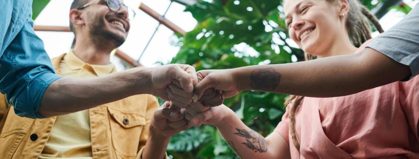 language training, language courses online, language course for professionals