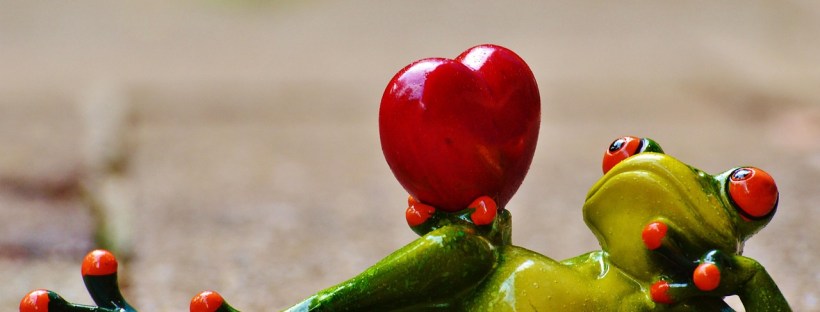 latvian language course language courses online swedish language courses