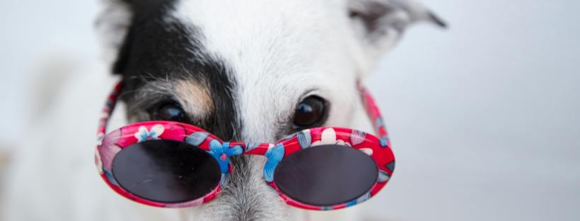 Language Learning Cultural Awareness travel phrases