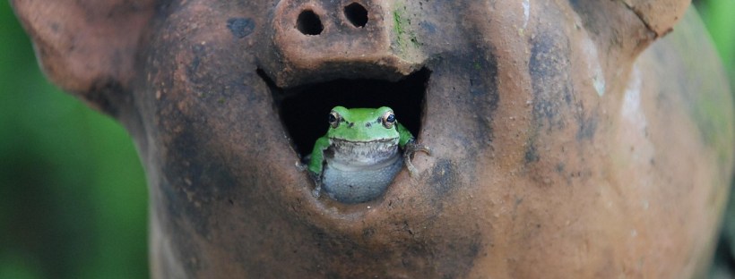 Language Fun Language Learning Tips Cultural Insights Community