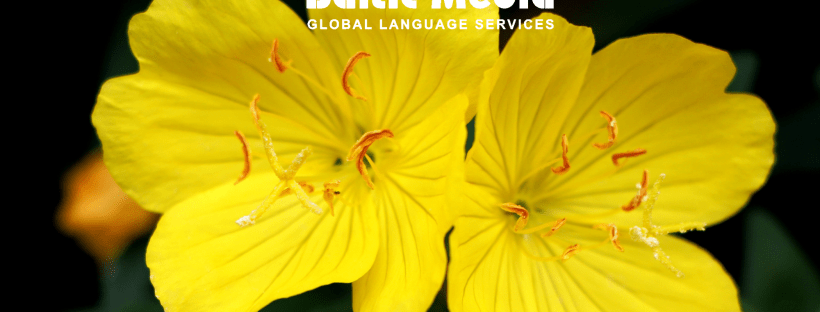 June in different languages Etymology of June Month names around the world